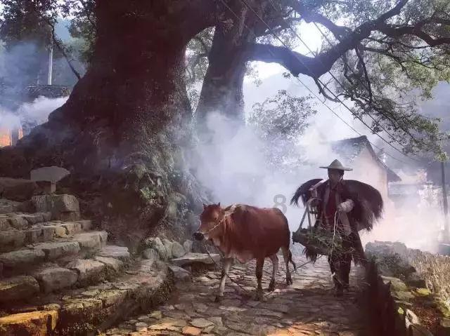 圆周率舞曲
