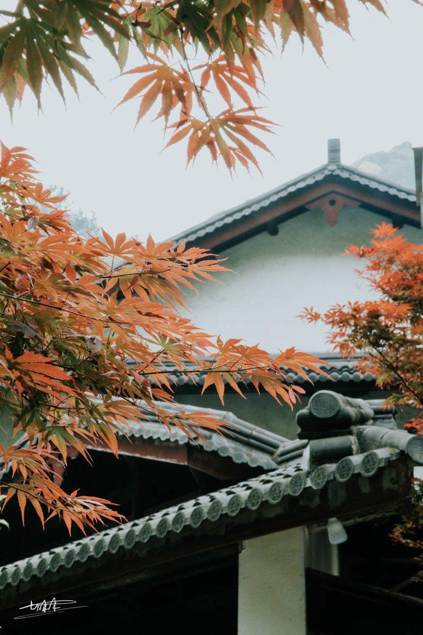 新春佳节送春联 墨香祝福暖人心